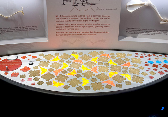 digital interactive exhibits - IO custom buttons - lights - interactive installation - immersive digital interactive apps - media - interactive digital media for museums - exhibits - galleries - interpretive centres