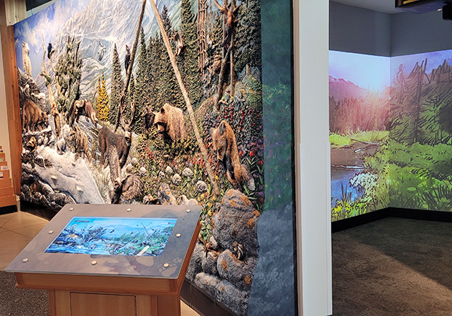Waterton Lakes National Park AV & Digital Interactive Exhibits