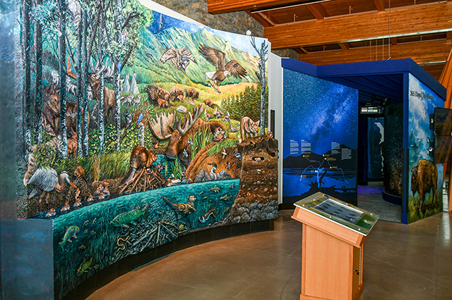 touch screen digital interactive exhibit - biodiversity app digital interactive experience - media - interactive apps for museums interpretive
